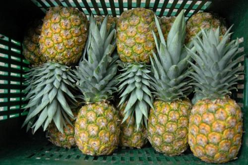 Продукты для быстрого жиросжигания. 15 удивительных продуктов, сжигающих жиры для быстрого похудения