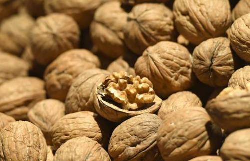 Дети с ожирением. Ожирение у детей и подростков. Клинические рекомендации. 02 Дети с ожирением. Ожирение у детей и подростков. Клинические рекомендации. 02