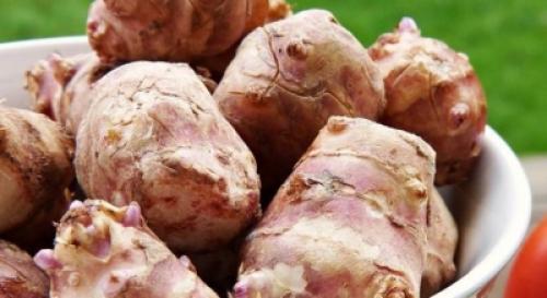 Топинамбур для похудения. Похудение с земляной грушей 03 Топинамбур для похудения. Похудение с земляной грушей 03