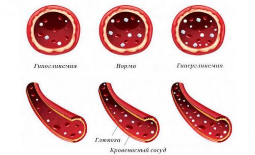 Норма сахара в крови у женщин. Свойства