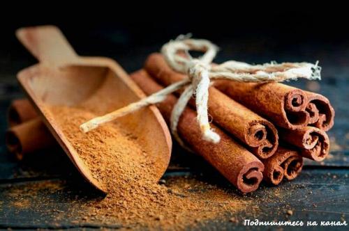 Полезные свойства корицы. Корица - польза и вред, полезные свойства и противопоказания