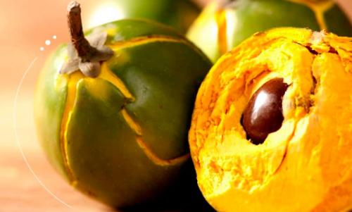 Продукты для быстрого жиросжигания. 15 удивительных продуктов, сжигающих жиры для быстрого похудения