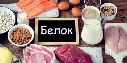Дешевые продукты с высоким содержанием белка. Откуда брать белок: мой список продуктов, богатых белков