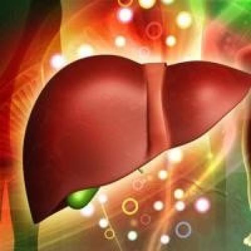 Чистка печени таблетки карсил. Чистка печени карсилом