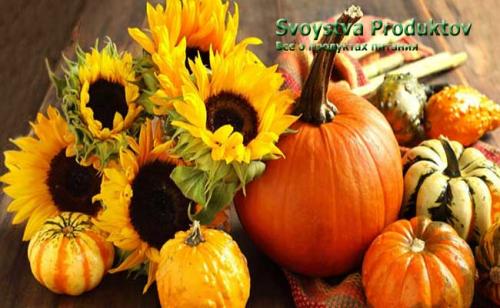 От тыквы толстеют или худеют. Польза тыквы для похудения и здоровья в целом 08