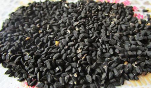 Как пить семена черного тмина. Черный тмин - лечит все кроме смерти