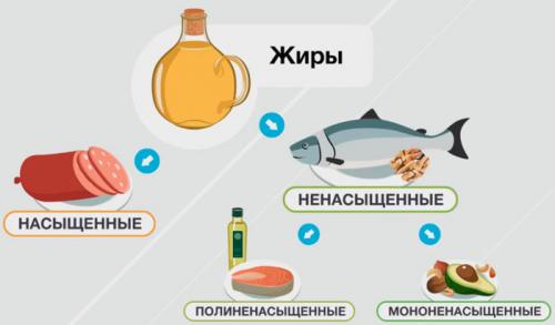 Жиры для похудения. Масла и жиры, необходимые при похудении