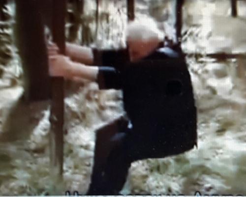 Приседания по неумывакину противопоказания. Приседания у дерева по методу профессора Неумывакина продлят жизнь и сделают стройнее