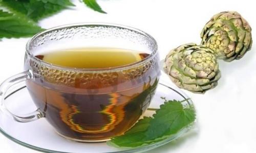 Травы для печени. Мощные травы и народные средства для лечения болезней печени и желчного пузыря