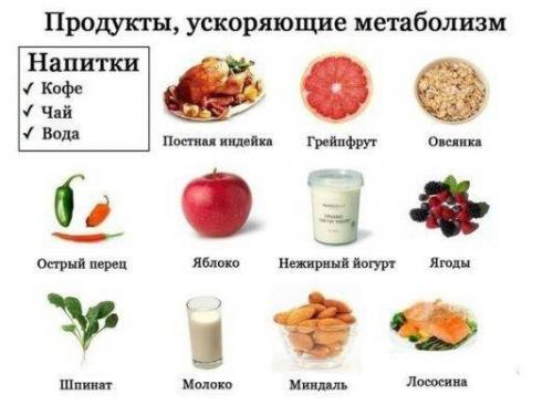 Жиросжигатели продукты для похудения. Разновидности жиросжигающих продуктов 06 Жиросжигатели продукты для похудения. Разновидности жиросжигающих продуктов 06