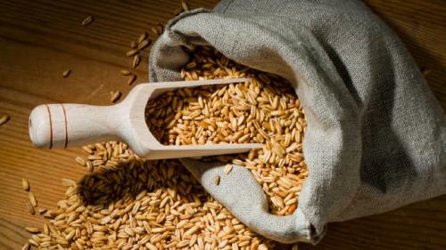 Как очистить организм полностью. С чего начать очищение организма в домашних условиях