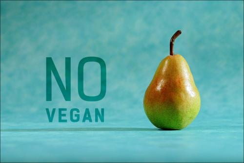 Веганы идиоты. Почему все так не любят веганов?