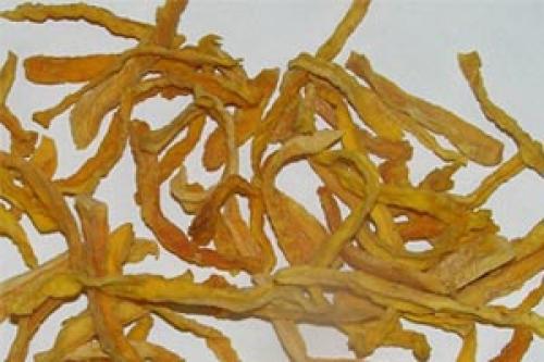 Тыква польза. Польза и вред тыквы для здоровья