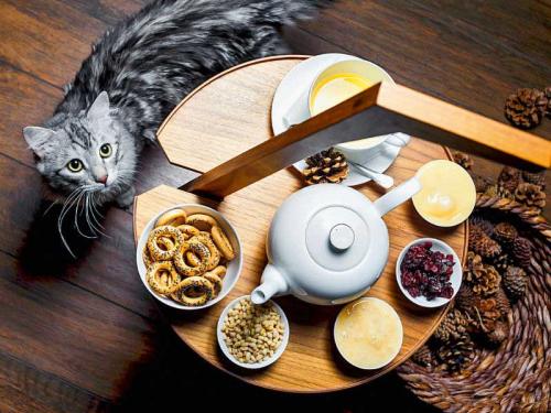 Сборы для похудения эффективные. Эффективные растения для похудения 01 Сборы для похудения эффективные. Эффективные растения для похудения 01