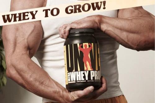 Сколько нужно БЖУ на 1 кг веса для набора мышечной массы. Правильный рацион питания для набора мышечной массы