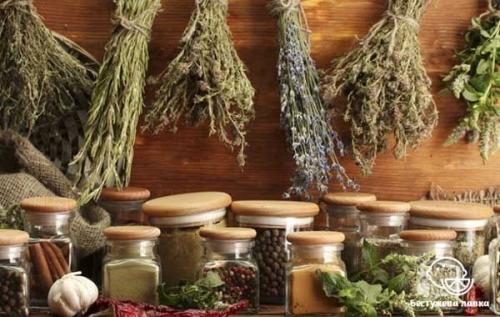 Травы очищающие организм. Травяные очищающие чаи 17 Травы очищающие организм. Травяные очищающие чаи 17