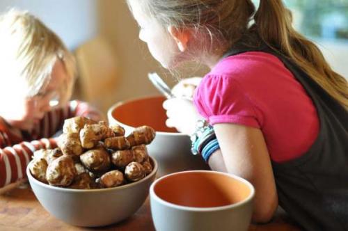 Как употреблять топинамбур для похудения. Снижаем вес на топинамбуре: 3 кг за 5 дней 07 Как употреблять топинамбур для похудения. Снижаем вес на топинамбуре: 3 кг за 5 дней 07