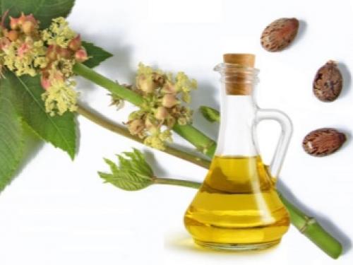 Касторка для похудения, как принимать. Как принимать касторовое масло? 08