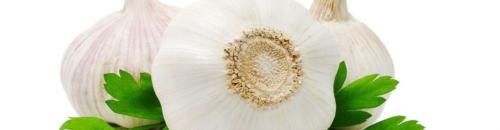 Жареный чеснок для похудения. Польза и вред чеснока при похудении