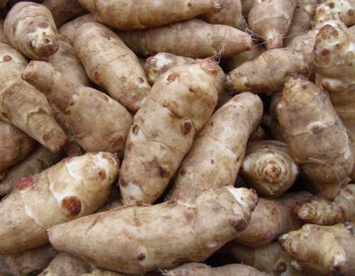 Топинамбур рецепты. Топинамбур - земляная груша