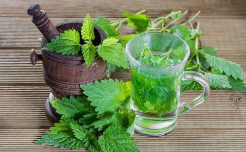 Травы для очищения крови. 7 трав, которые очищают кровь