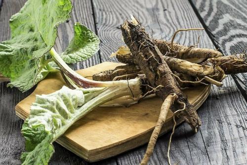 Травы для очищения крови. 7 трав, которые очищают кровь