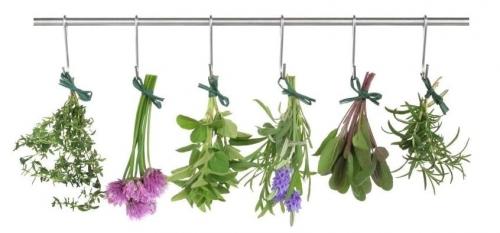 Травы очищающие организм от токсинов. Очищение организма от шлаков с помощью трав