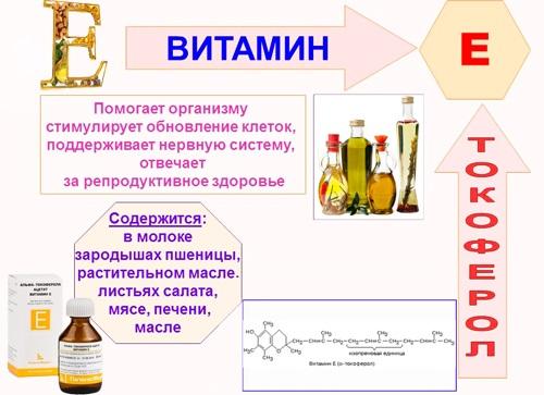 Витамины для ускорения обмена веществ. Витамины для улучшения обмена веществ в организме