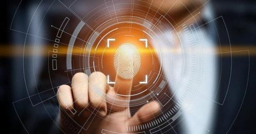 Почему на пальцах. Почему рисунок на пальцах человека уникален? в закладки 1