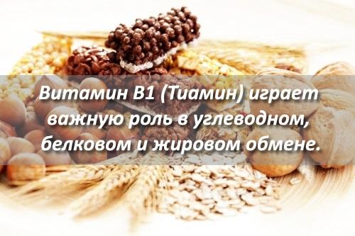 Витамины для ускорения обмена веществ. Витамины для улучшения обмена веществ в организме