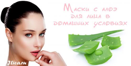 Маски из алоэ для лица от морщин. Домашние маски с алоэ для борьбы с морщинами 05