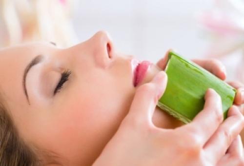 Маски из алоэ для лица от морщин. Домашние маски с алоэ для борьбы с морщинами 03