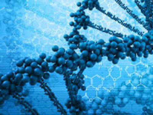 Анти-эйдж клиника. Основные методики антивозрастной медицины. Анти-эйдж процедуры и программы