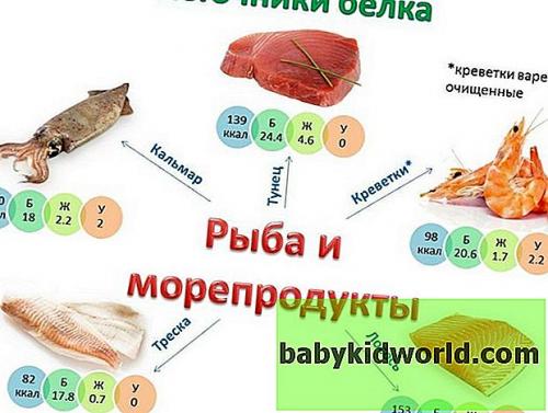 Продукты богатые белком таблица для похудения. Действие на организм 06