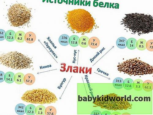 Продукты богатые белком таблица для похудения. Действие на организм 04
