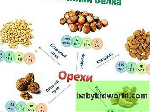 Продукты богатые белком таблица для похудения. Действие на организм 05