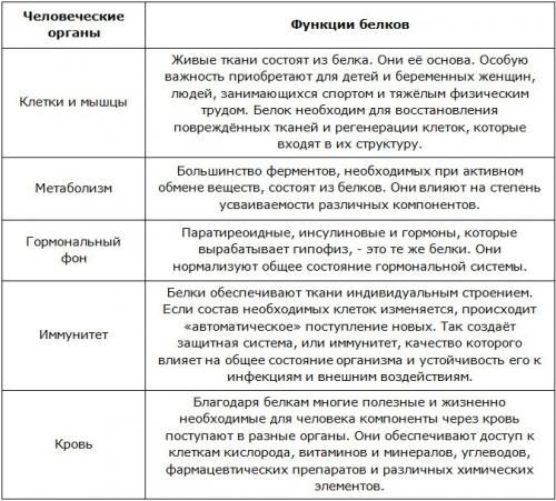 Продукты богатые белком таблица для похудения. Действие на организм 01 Продукты богатые белком таблица для похудения. Действие на организм 01