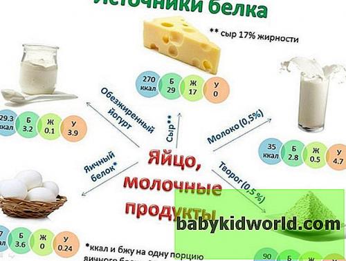 Продукты богатые белком таблица для похудения. Действие на организм 07