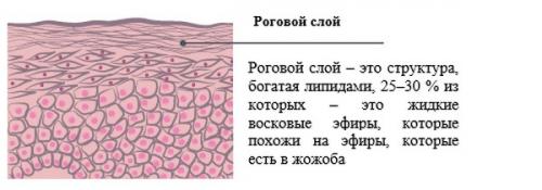 Салициловая кислота в косметологии. Свойства средства