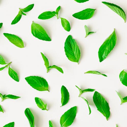 Обертывание для похудения холодное. Холодное обертывание для похудения 05