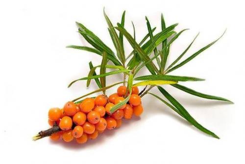 Маска для кожи головы от шелушения в домашних условиях. Масла для сухих волос 01 Маска для кожи головы от шелушения в домашних условиях. Масла для сухих волос 01