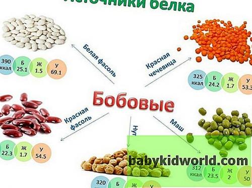 Продукты богатые белком таблица для похудения. Действие на организм 03 Продукты богатые белком таблица для похудения. Действие на организм 03