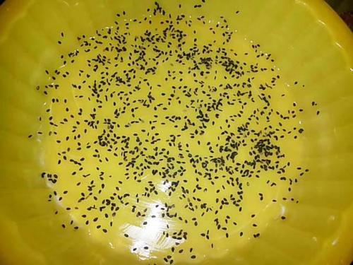 Рецепт шарлотки. Воздушный рецепт Шарлотки с яблоками.