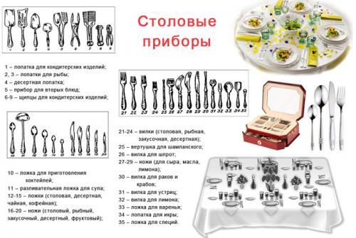 Правила этикета за столом столовые приборы. Столовые приборы и как ими пользоваться