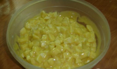 Шарлотка с яблоками рецепт. Шарлотка с яблоками в духовке. Рецепт быстрого приготовления ленивой шарлотки