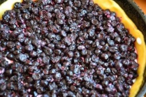 Творожный пирог с ягодами. Пирог с творогом и ягодами