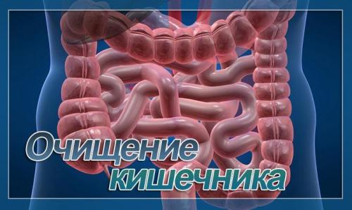 Очищение кишечника. Как очистить кишечник от шлаков и токсинов быстро и безопасно
