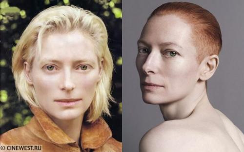 Страшные актрисы голливуда. 20 некрасивых актрис, которых обожают зрители