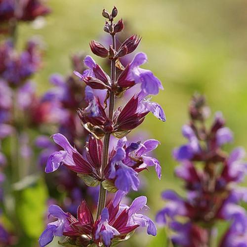 Чем можно уменьшить аппетит в домашних условиях. Эффективные способы снизить аппетит в домашних условиях 02 Чем можно уменьшить аппетит в домашних условиях. Эффективные способы снизить аппетит в домашних условиях 02