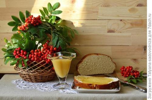 Красная рябина рецепты.